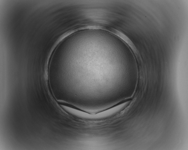 X0000088691436200706141404