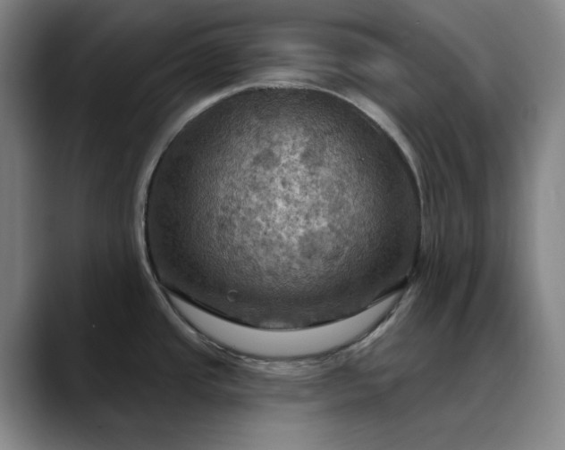 X0000088691437200706141404
