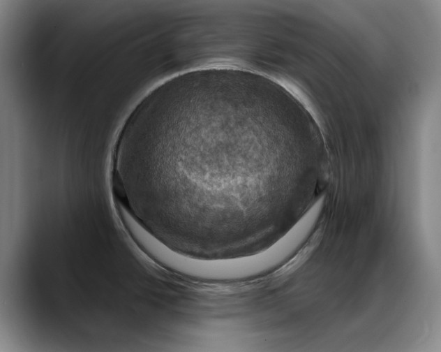 X0000088691438200706141404