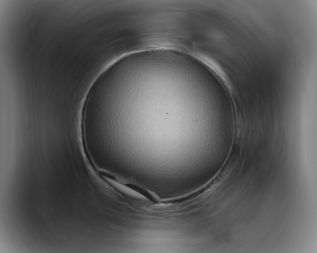 X0000088691439200706141404