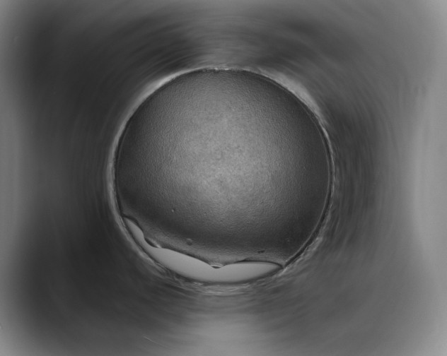 X0000088691440200706141404