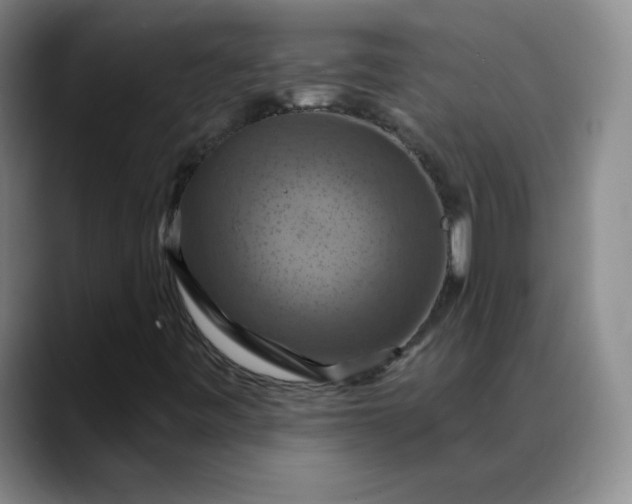 X0000088691443200706141404