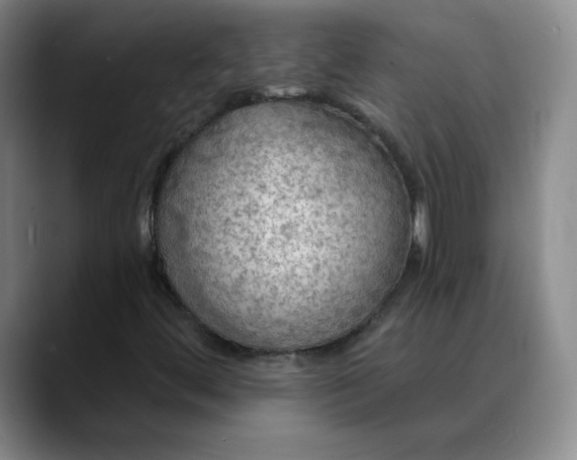 X0000088691444200706141404
