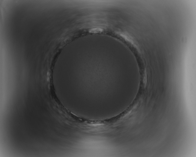 X0000088691445200706141404