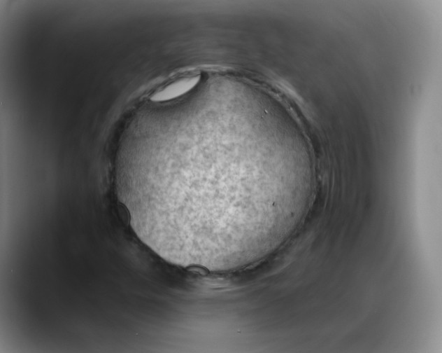 X0000088691448200706141404