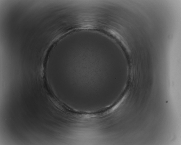 X0000088691449200706141404