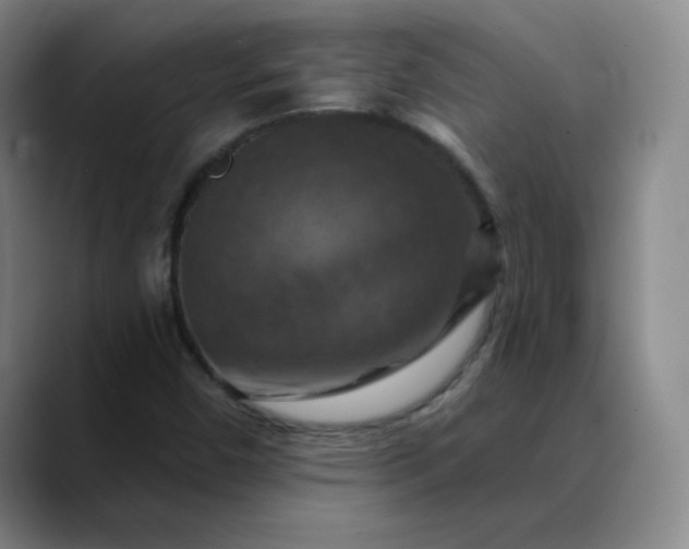 X0000088691450200706141404