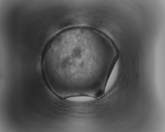 X0000088691452200706141404