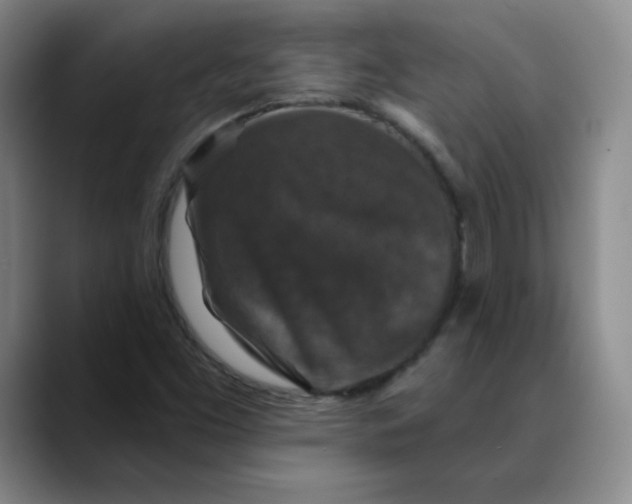 X0000088691453200706141404