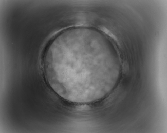 X0000088691454200706141404