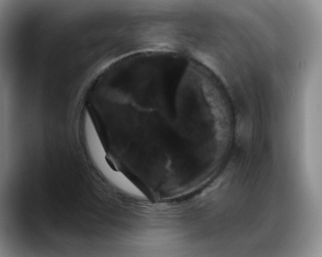 X0000088691455200706141404