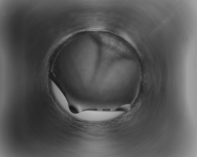 X0000088691456200706141404