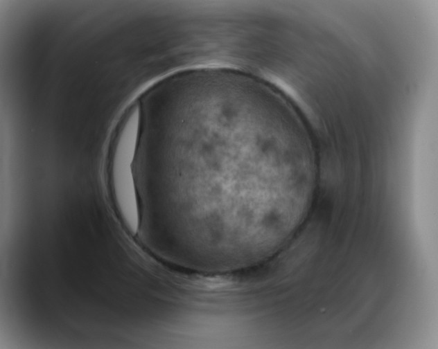X0000088691460200706141404