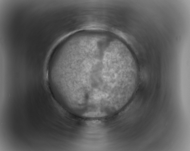 X0000088691462200706141403