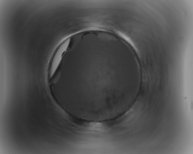 X0000088691463200706141403