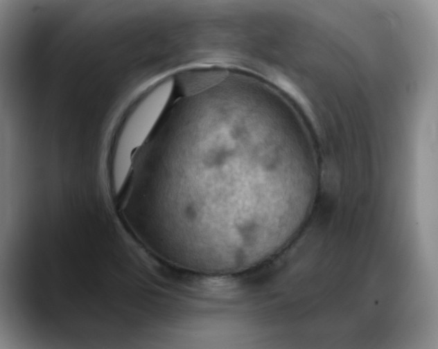 X0000088691464200706141403