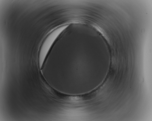 X0000088691465200706141403