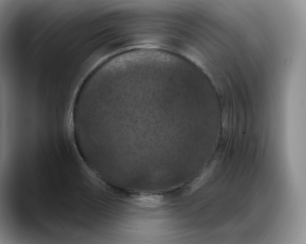 X0000088691466200706141403