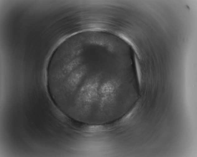 X0000088691467200706141403