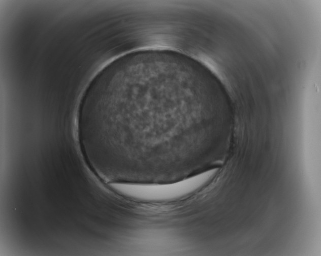 X0000088691468200706141403