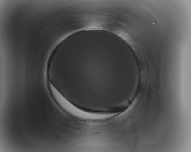 X0000088691469200706141403