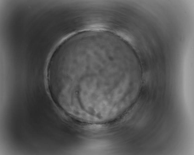 X0000088691470200706141403