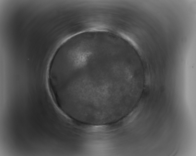 X0000088691471200706141403