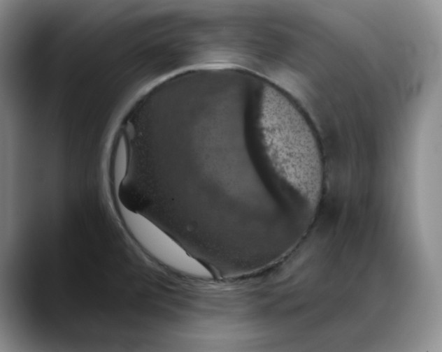 X0000088691472200706141403
