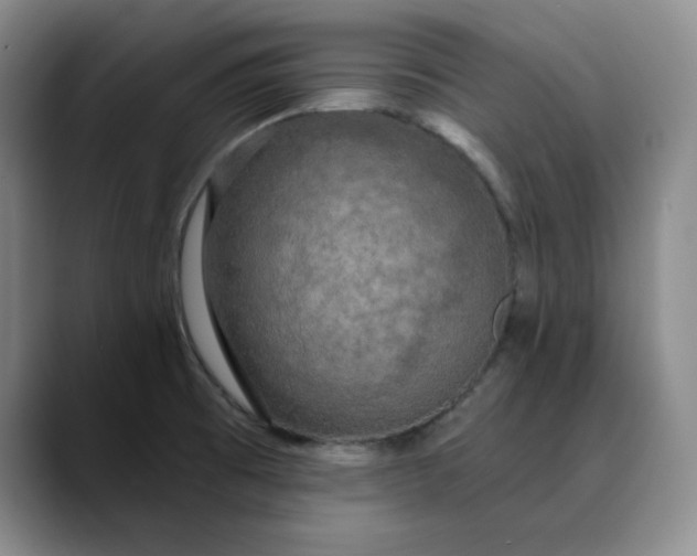 X0000088691473200706141403
