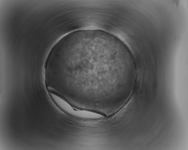X0000088691476200706141403