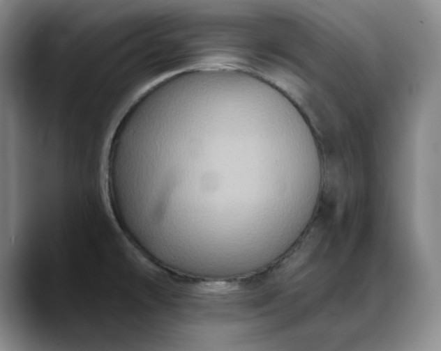 X0000088691478200706141403