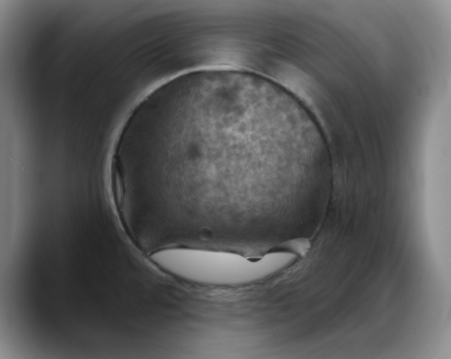 X0000088691480200706141403