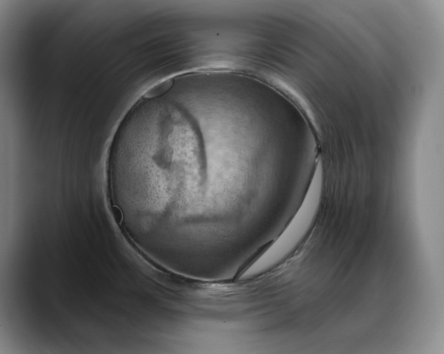 X0000088691483200706141403