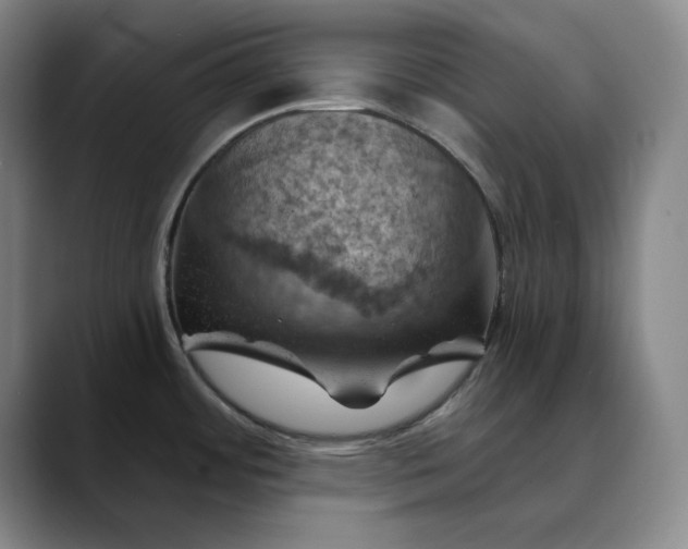 X0000088691484200706141403