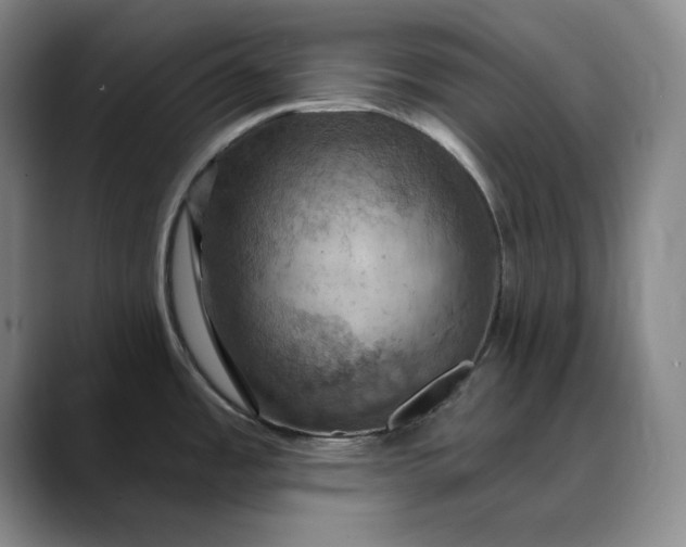 X0000088691485200706141403