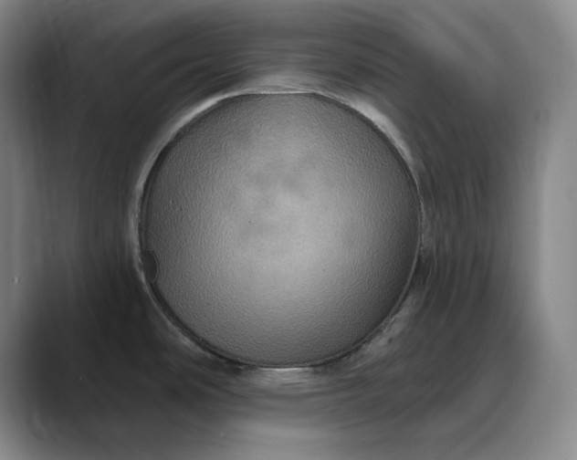 X0000088691486200706141403