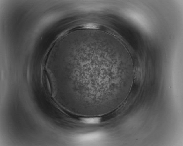 X0000088691487200706141403