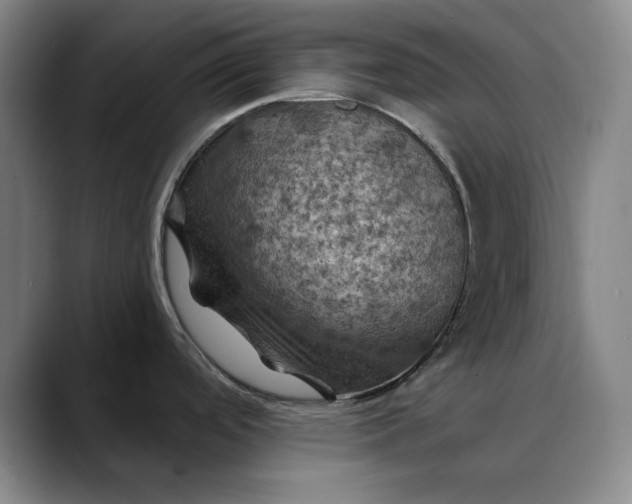 X0000088691488200706141403