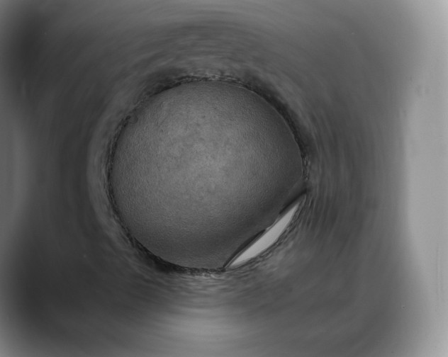 X0000088691489200706141403