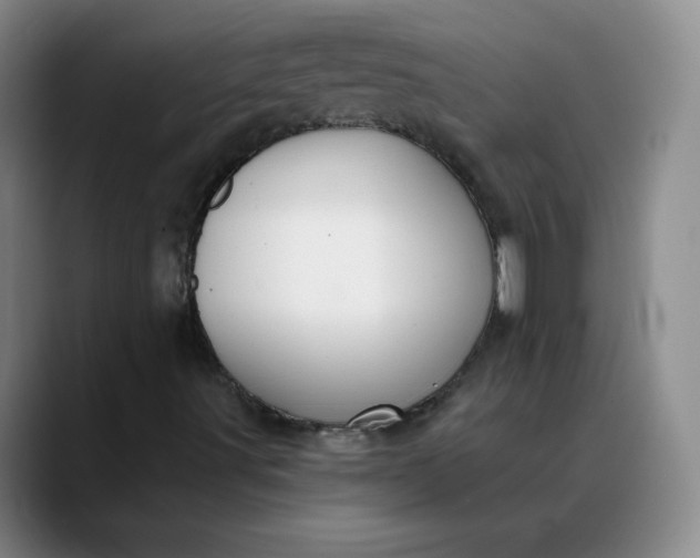 X0000088691491200706141403
