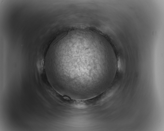 X0000088691492200706141403