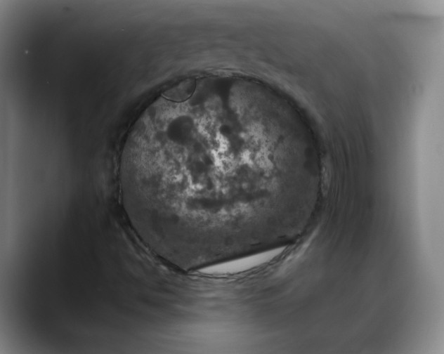 X0000088691494200706141403