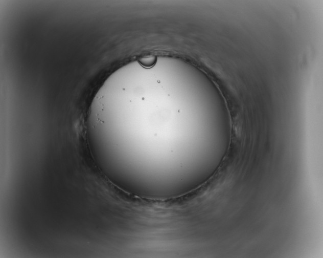 X0000088691495200706141403