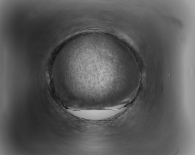 X0000088691496200706141403