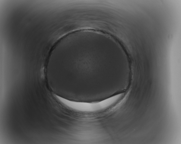 X0000088691497200706141403