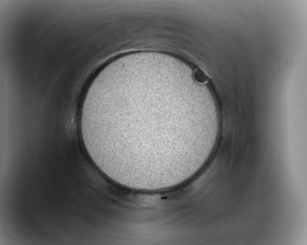 X0000088691498200706141403