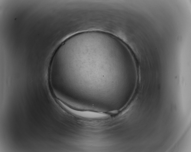 X0000088691500200706141403