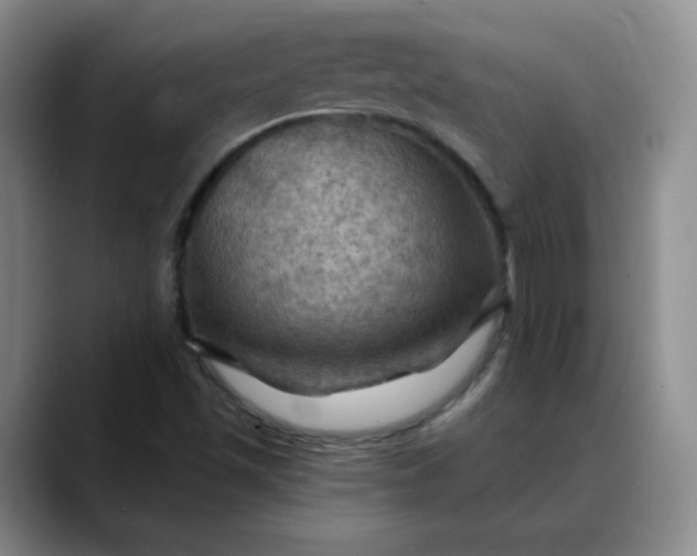 X0000088691501200706141403