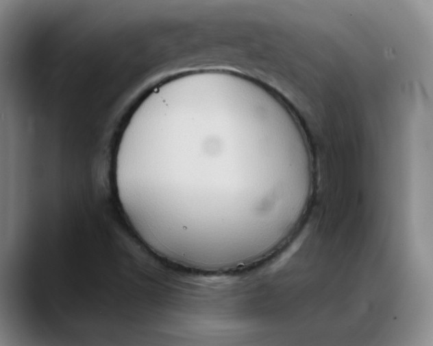 X0000088691502200706141403