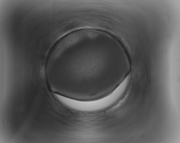 X0000088691505200706141403